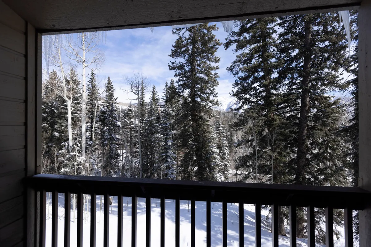 A sweeping outdoor view of snow-covered trees with majestic mountains rising in the background beneath a clear blue winter sky. The landscape is tranquil, blanketed in fresh snow, and evokes the crisp excitement of winter sports and alpine exploration.
